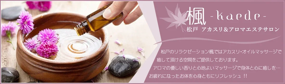 楓～kaede～の店舗写真 1