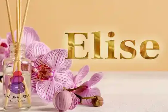 ELISE（エリーゼ）の店舗写真 1